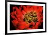 Peony V-Christine Zalewski-Framed Premium Giclee Print