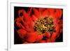 Peony V-Christine Zalewski-Framed Premium Giclee Print