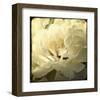 Peony with Red-Judy Stalus-Framed Art Print