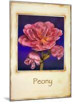 Peony-Richard Penn-Mounted Art Print