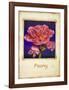 Peony-Richard Penn-Framed Art Print