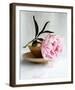 Peony-Amelie Vuillon-Framed Art Print