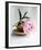 Peony-Amelie Vuillon-Framed Art Print