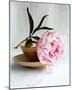 Peony-Amelie Vuillon-Mounted Art Print