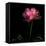 Peony-Magda Indigo-Framed Stretched Canvas