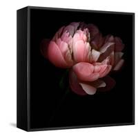 Peony-Magda Indigo-Framed Stretched Canvas