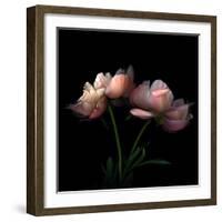 Peony-Magda Indigo-Framed Photographic Print