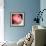 Peony-Katano Nicole-Framed Photo displayed on a wall