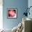 Peony-Katano Nicole-Framed Photo displayed on a wall