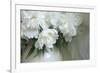 Peony-Anna Miller-Framed Photographic Print