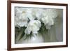 Peony-Anna Miller-Framed Photographic Print