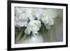 Peony-Anna Miller-Framed Photographic Print