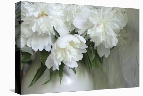 Peony-Anna Miller-Stretched Canvas