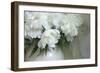 Peony-Anna Miller-Framed Photographic Print