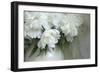 Peony-Anna Miller-Framed Photographic Print