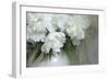 Peony-Anna Miller-Framed Photographic Print