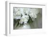 Peony-Anna Miller-Framed Photographic Print