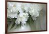 Peony-Anna Miller-Framed Photographic Print