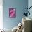 Peony-Karyn Millet-Framed Stretched Canvas displayed on a wall