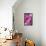 Peony-Karyn Millet-Framed Stretched Canvas displayed on a wall