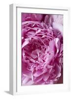 Peony-Karyn Millet-Framed Premium Photographic Print