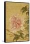 Peony-Yun Shouping-Framed Stretched Canvas