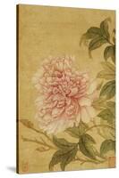 Peony-Yun Shouping-Stretched Canvas