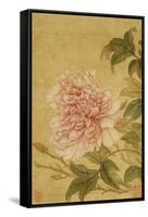 Peony-Yun Shouping-Framed Stretched Canvas