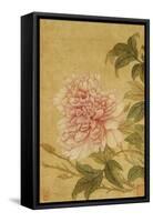 Peony-Yun Shouping-Framed Stretched Canvas