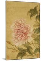 Peony-Yun Shouping-Mounted Premium Giclee Print