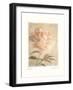 Peony-Amy Melious-Framed Art Print