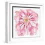 Peony-Beverly Dyer-Framed Art Print