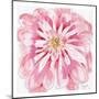 Peony-Beverly Dyer-Mounted Art Print