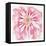 Peony-Beverly Dyer-Framed Stretched Canvas