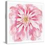 Peony-Beverly Dyer-Stretched Canvas