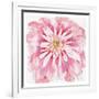 Peony-Beverly Dyer-Framed Art Print