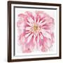 Peony-Beverly Dyer-Framed Art Print