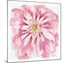 Peony-Beverly Dyer-Mounted Art Print