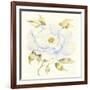 Peony-Kathleen Parr McKenna-Framed Art Print