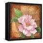 Peony-Fiona Stokes-Gilbert-Framed Stretched Canvas