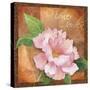 Peony-Fiona Stokes-Gilbert-Stretched Canvas