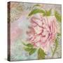 Peony-Cora Niele-Stretched Canvas