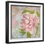 Peony-Cora Niele-Framed Giclee Print