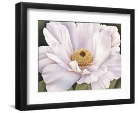 Peony-Virginia Huntington-Framed Art Print