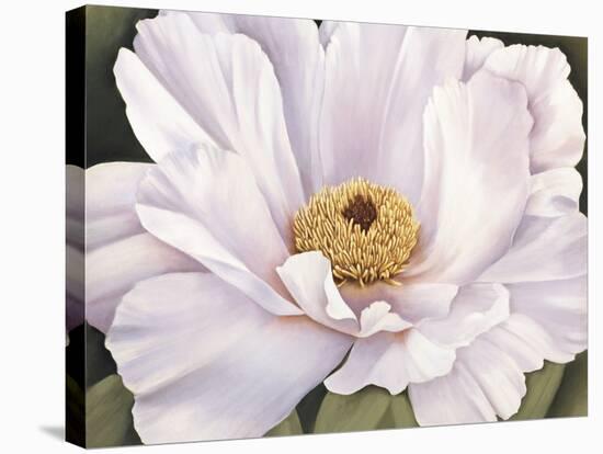 Peony-Virginia Huntington-Stretched Canvas