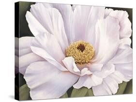 Peony-Virginia Huntington-Stretched Canvas