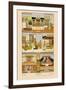 People and Places of India-Racinet-Framed Art Print