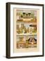 People and Places of India-Racinet-Framed Art Print