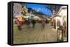 People at Christmas Market, Haupt Square, Schladming, Steiemark, Austria, Europe-Richard Nebesky-Framed Stretched Canvas