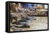 People at Cremation Site, Ganges River, Varanasi, India-Ali Kabas-Framed Stretched Canvas